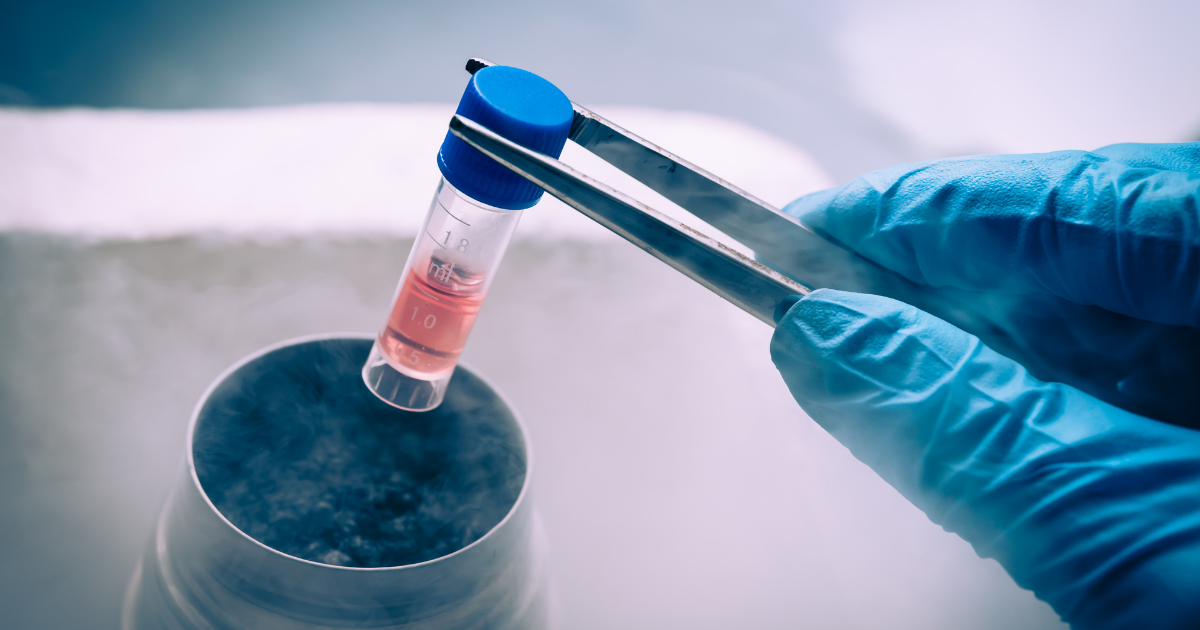 Gloved laboratory professional holding a cryogenic sample vial above a liquid nitrogen storage container for long-term cell banking