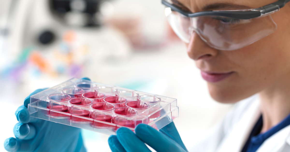 Laboratory researcher examining a multiwell cell culture plate, representing regenerative medicine research and stem cell therapy facts